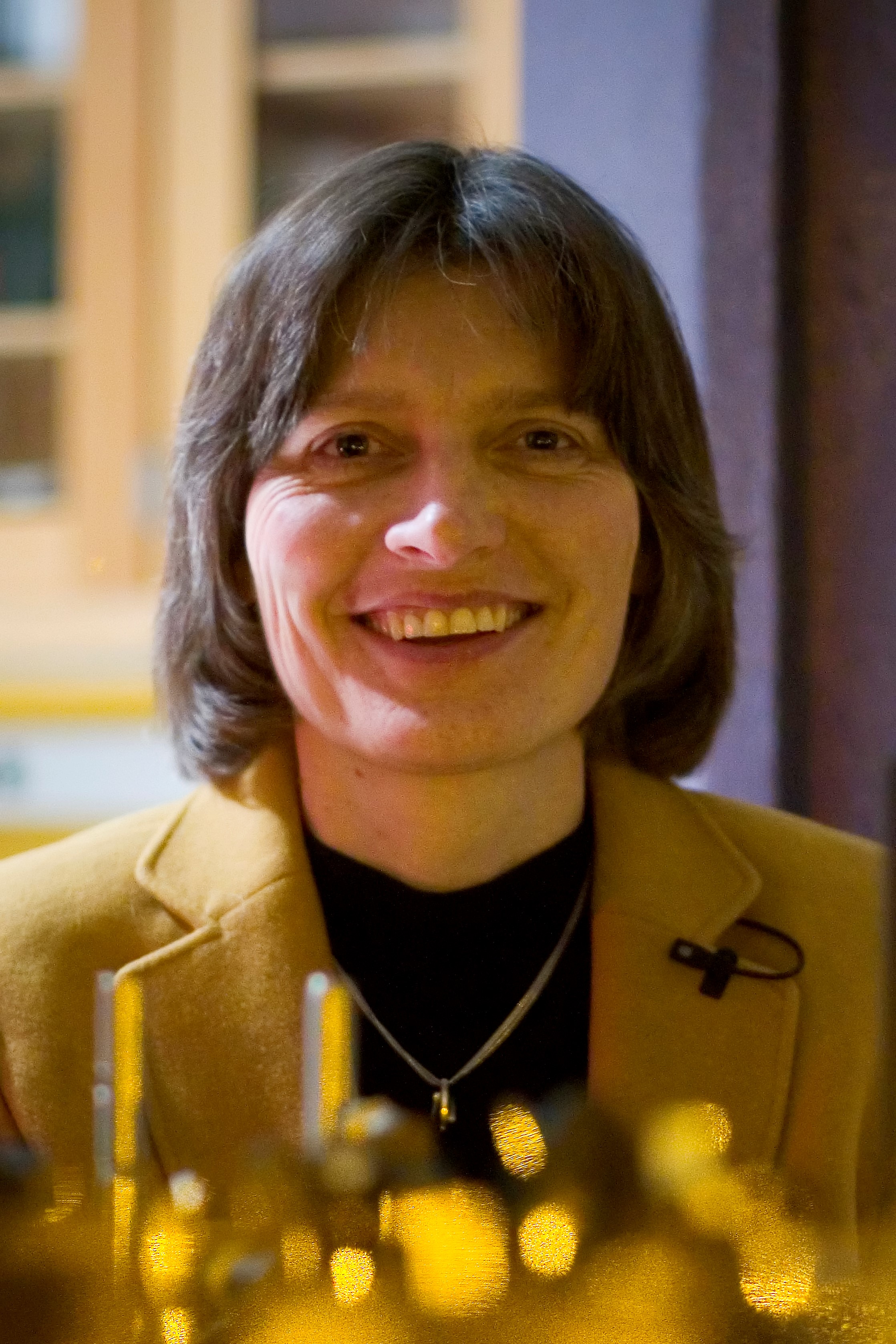 Professor Lene Hau. Image credit: Justin Ide, Harvard News Office