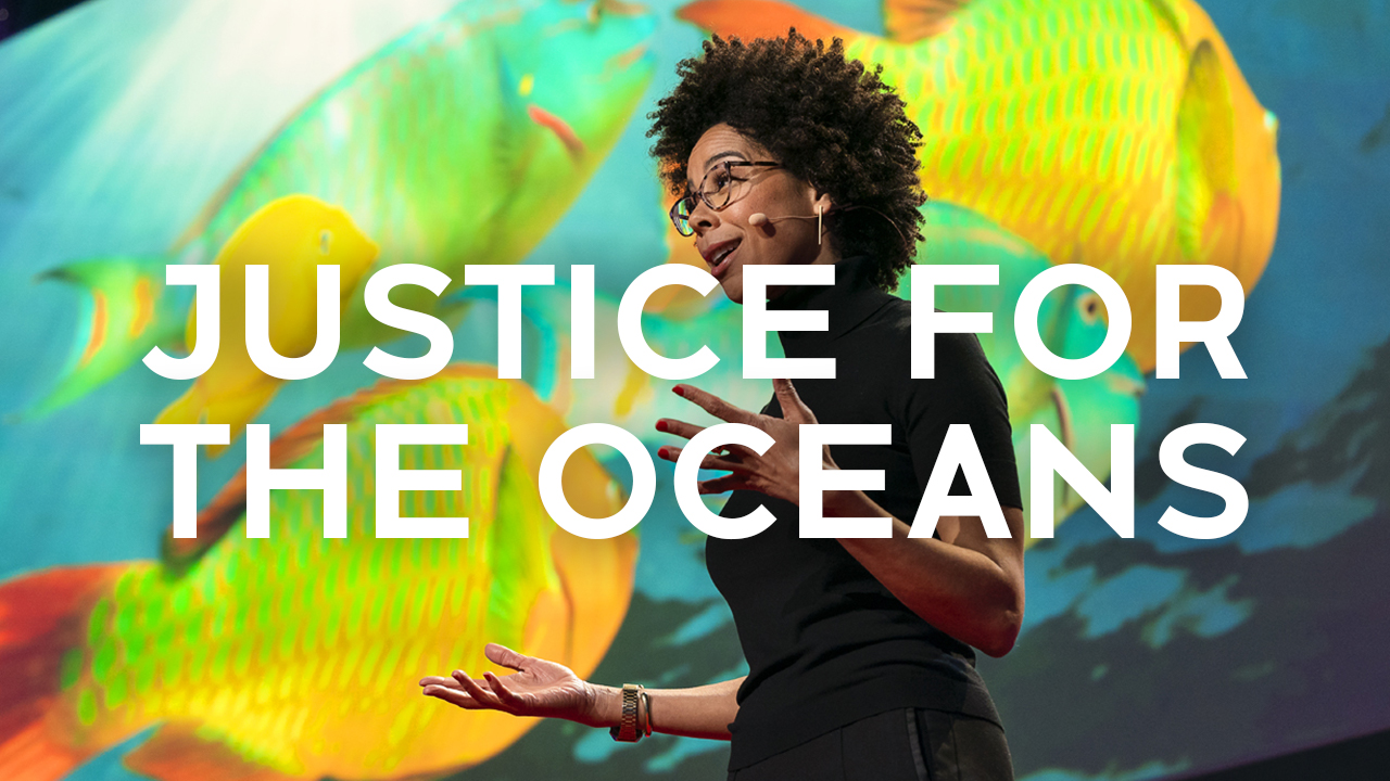   Justice for the Oceans
