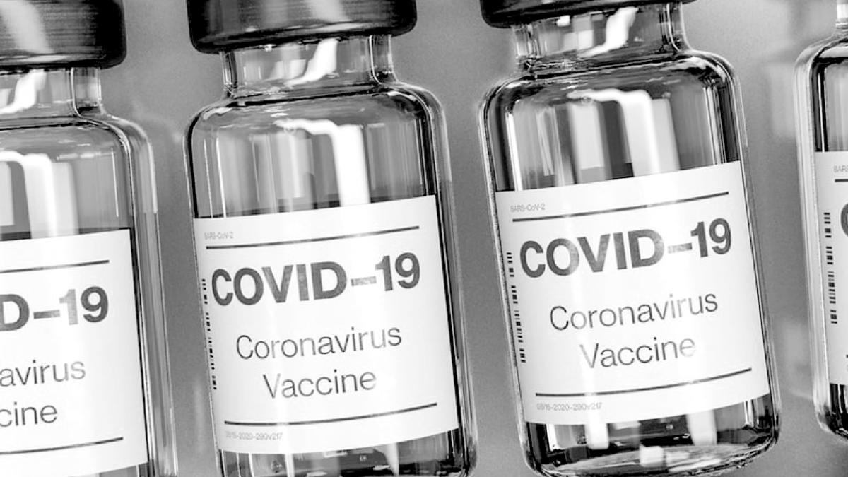 photo of bottles of COVID 19 vacinations