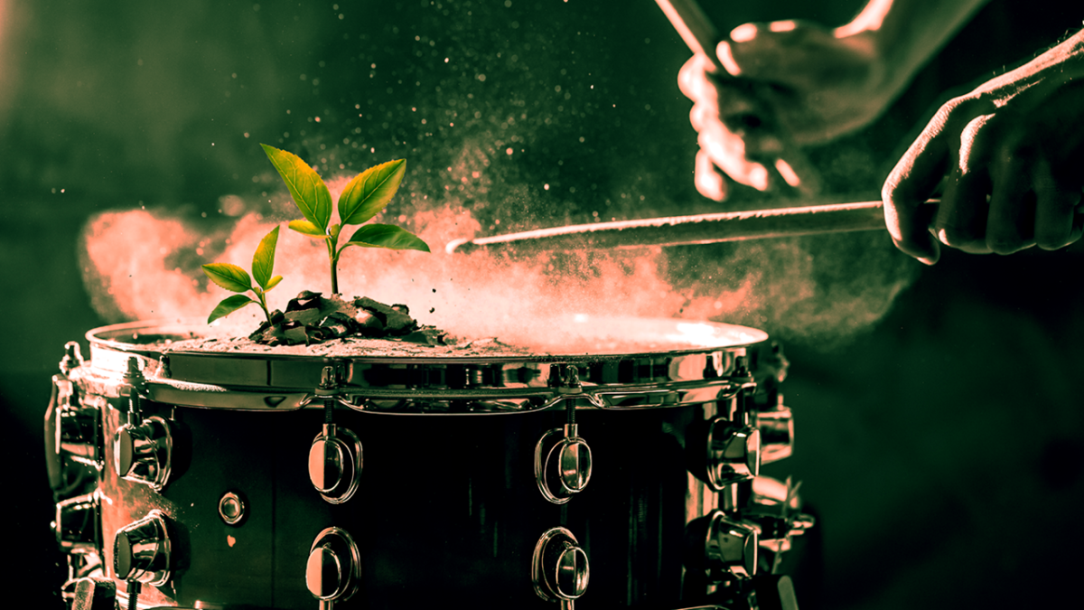 A small plant growing from a dusty set of drums