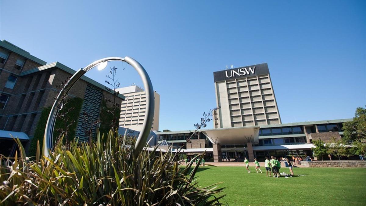 The UNSW Library lawn