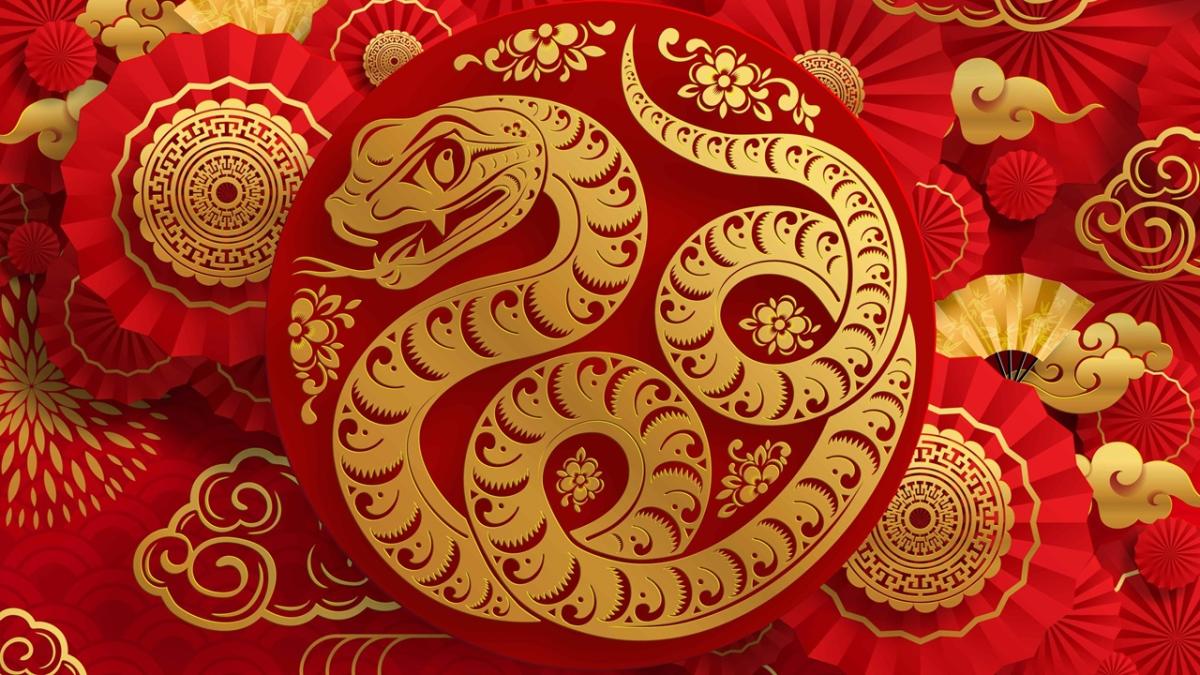 A golden snake on a red background