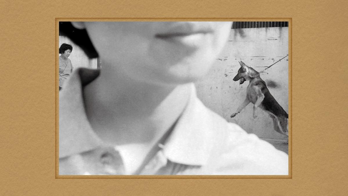 Wayfaring: Photography in Taiwan, 1950s–1980s
